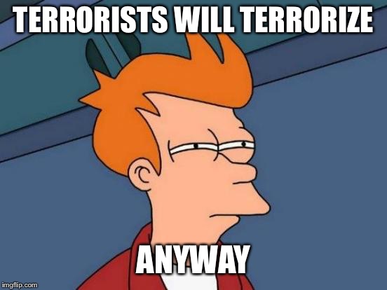 Futurama Fry Meme | TERRORISTS WILL TERRORIZE ANYWAY | image tagged in memes,futurama fry | made w/ Imgflip meme maker
