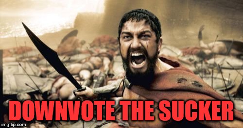 Sparta Leonidas Meme | DOWNVOTE THE SUCKER | image tagged in memes,sparta leonidas | made w/ Imgflip meme maker