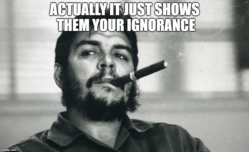 Che | ACTUALLY IT JUST SHOWS THEM YOUR IGNORANCE | image tagged in che | made w/ Imgflip meme maker