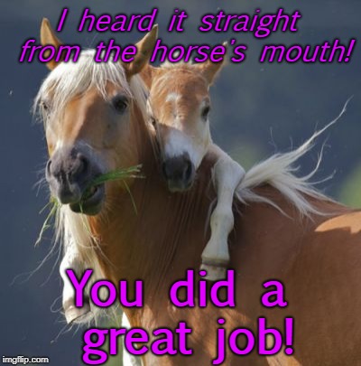Foal Of Mine |  I heard it straight from the horse's mouth! You did a great job! | image tagged in memes,foal of mine | made w/ Imgflip meme maker