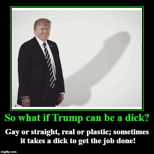 Sometimes it Takes a dick to Get the Job Done! | image tagged in funny,demotivationals,trump,potus,gay,straight | made w/ Imgflip demotivational maker