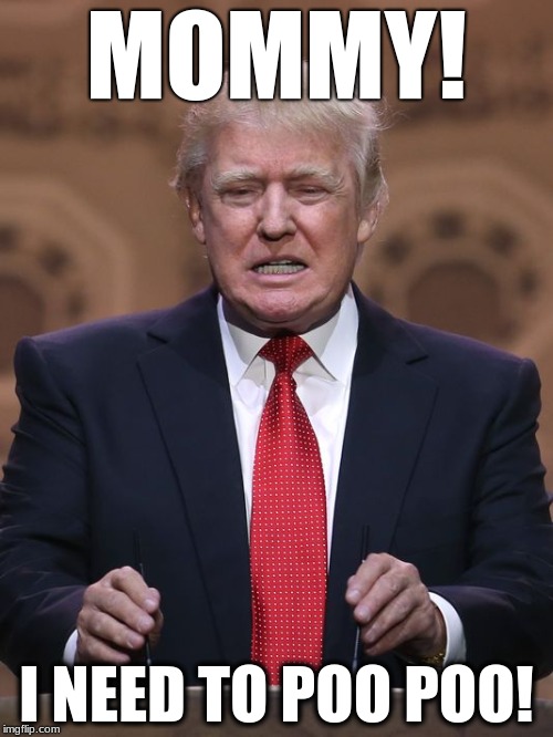 Donald Trump | MOMMY! I NEED TO POO POO! | image tagged in donald trump | made w/ Imgflip meme maker