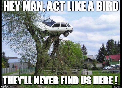 Secure Parking | HEY MAN, ACT LIKE A BIRD; THEY'LL NEVER FIND US HERE ! | image tagged in memes,secure parking | made w/ Imgflip meme maker