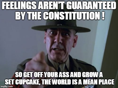 Sergeant Hartmann |  FEELINGS AREN'T GUARANTEED BY THE CONSTITUTION ! SO GET OFF YOUR ASS AND GROW A SET CUPCAKE, THE WORLD IS A MEAN PLACE | image tagged in memes,sergeant hartmann | made w/ Imgflip meme maker