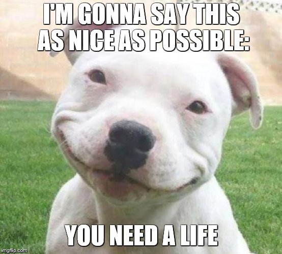 I'M GONNA SAY THIS AS NICE AS POSSIBLE:; YOU NEED A LIFE | image tagged in doge | made w/ Imgflip meme maker