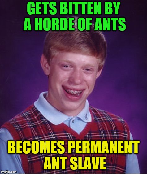 Bad Luck Brian Meme | GETS BITTEN BY A HORDE OF ANTS BECOMES PERMANENT ANT SLAVE | image tagged in memes,bad luck brian | made w/ Imgflip meme maker