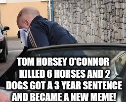 New meme Coming soon..
Tom "Horsey" O'Connor | TOM HORSEY O'CONNOR 
KILLED 6 HORSES AND 2 DOGS
GOT A 3 YEAR SENTENCE AND BECAME A NEW MEME! | image tagged in tom,horsey,o'connor | made w/ Imgflip meme maker