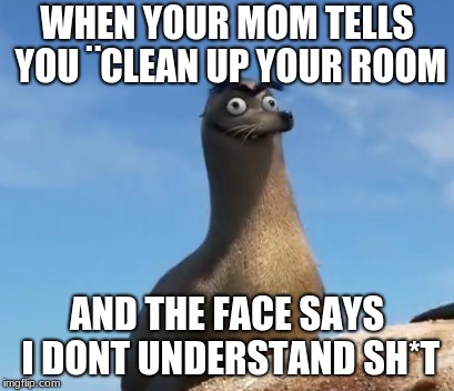 gerald finding dory | WHEN YOUR MOM TELLS YOU ¨CLEAN UP YOUR ROOM; AND THE FACE SAYS I DONT UNDERSTAND SH*T | image tagged in gerald finding dory | made w/ Imgflip meme maker