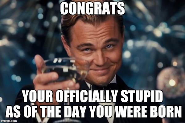 Leonardo Dicaprio Cheers Meme |  CONGRATS; YOUR OFFICIALLY STUPID AS OF THE DAY YOU WERE BORN | image tagged in memes,leonardo dicaprio cheers | made w/ Imgflip meme maker