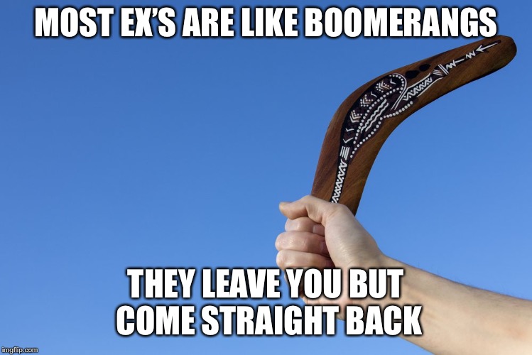 MOST EX’S ARE LIKE BOOMERANGS; THEY LEAVE YOU BUT COME STRAIGHT BACK | image tagged in lol | made w/ Imgflip meme maker