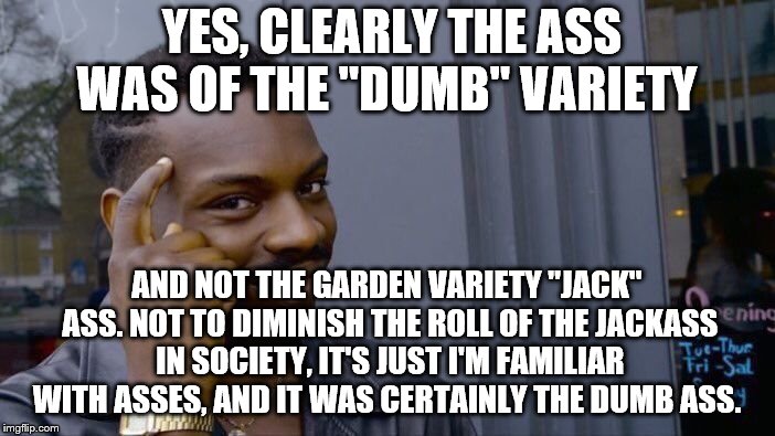 Roll Safe Think About It Meme | YES, CLEARLY THE ASS WAS OF THE "DUMB" VARIETY AND NOT THE GARDEN VARIETY "JACK" ASS. NOT TO DIMINISH THE ROLL OF THE JACKASS IN SOCIETY, IT | image tagged in memes,roll safe think about it | made w/ Imgflip meme maker