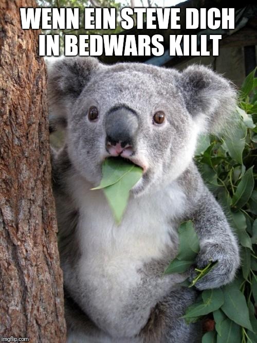 Surprised Koala Meme | WENN EIN STEVE DICH IN BEDWARS KILLT | image tagged in memes,surprised koala | made w/ Imgflip meme maker