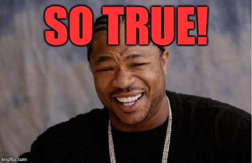 Yo Dawg Heard You Meme | SO TRUE! | image tagged in memes,yo dawg heard you | made w/ Imgflip meme maker