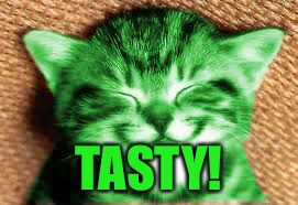 happy RayCat | TASTY! | image tagged in happy raycat | made w/ Imgflip meme maker