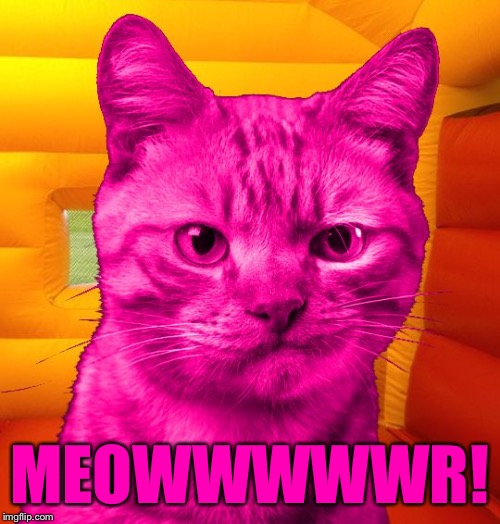 DisSat RayCat | MEOWWWWWR! | image tagged in dissat raycat | made w/ Imgflip meme maker