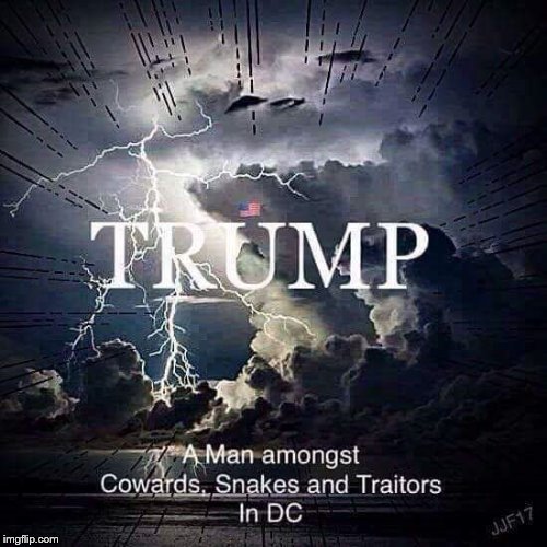 TRUMP ~ A Man amongst Cowards, Snakes and Traitors in D.C.