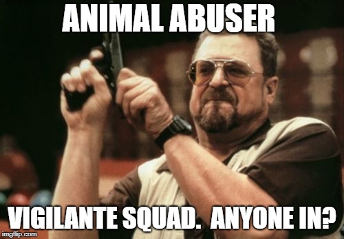 Am I The Only One Around Here | ANIMAL ABUSER; VIGILANTE SQUAD.  ANYONE IN? | image tagged in memes,am i the only one around here | made w/ Imgflip meme maker