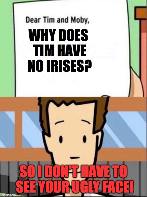 Testing out burning stuff in science | WHY DOES TIM HAVE NO IRISES? SO I DON'T HAVE TO SEE YOUR UGLY FACE! | image tagged in tim and moby,funny,science,burn,diss | made w/ Imgflip meme maker