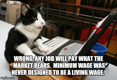 Fact Cat | WRONG. ANY JOB WILL PAY WHAT THE MARKET BEARS.  MINIMUM WAGE WAS NEVER DESIGNED TO BE A LIVING WAGE. | image tagged in fact cat | made w/ Imgflip meme maker