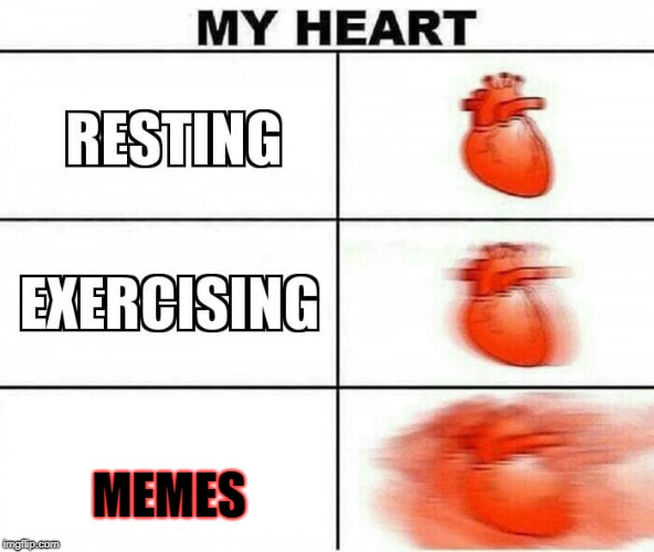 T-The memes! | MEMES | image tagged in my heart | made w/ Imgflip meme maker