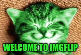 happy RayCat | WELCOME TO IMGFLIP | image tagged in happy raycat | made w/ Imgflip meme maker