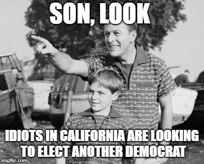 Look Son Meme | SON, LOOK; IDIOTS IN CALIFORNIA ARE LOOKING TO ELECT ANOTHER DEMOCRAT | image tagged in memes,look son | made w/ Imgflip meme maker