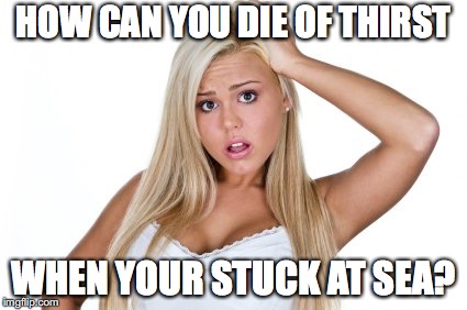 You're surrounded by water! How can that happen?! | HOW CAN YOU DIE OF THIRST; WHEN YOUR STUCK AT SEA? | image tagged in dumb blonde | made w/ Imgflip meme maker