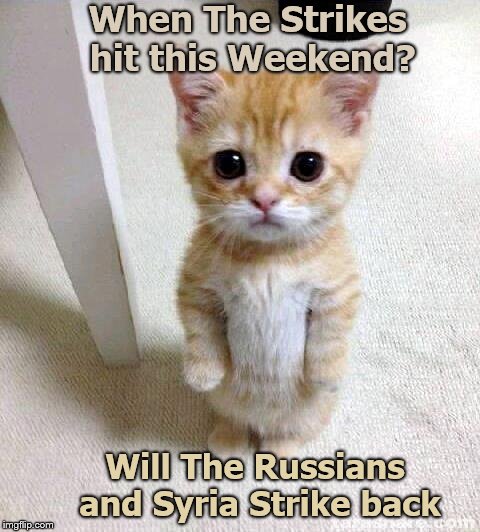 Cute Cat | When The Strikes hit this Weekend? Will The Russians and Syria Strike back | image tagged in memes,cute cat | made w/ Imgflip meme maker