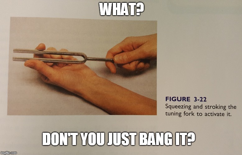 Tuning Fork: You're Doing It Wrong |  WHAT? DON'T YOU JUST BANG IT? | image tagged in tuning fork,activate,bang,stroke,nurse | made w/ Imgflip meme maker