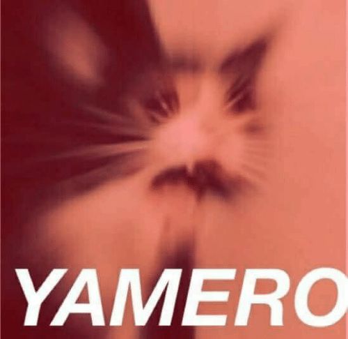 High Quality yamero cat Blank Meme Template