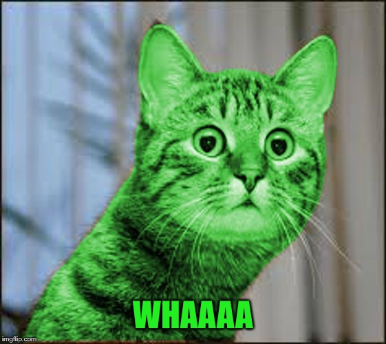 RayCat WTF | WHAAAA | image tagged in raycat wtf | made w/ Imgflip meme maker