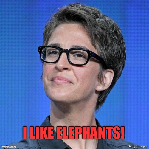 Rachel Maddow | I LIKE ELEPHANTS! | image tagged in rachel maddow | made w/ Imgflip meme maker