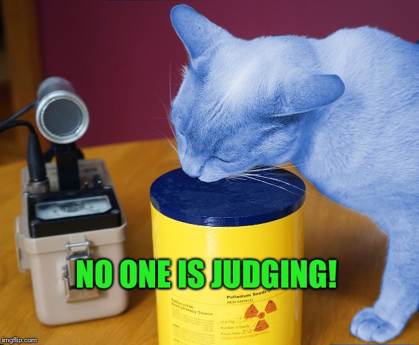 RayCat eating | NO ONE IS JUDGING! | image tagged in raycat eating | made w/ Imgflip meme maker