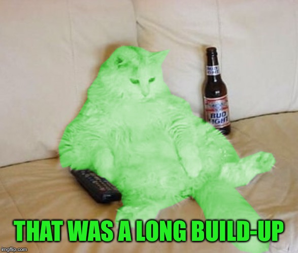 RayCat Chillin' | THAT WAS A LONG BUILD-UP | image tagged in raycat chillin' | made w/ Imgflip meme maker