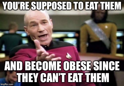 Picard Wtf Meme | YOU’RE SUPPOSED TO EAT THEM AND BECOME OBESE SINCE THEY CAN’T EAT THEM | image tagged in memes,picard wtf | made w/ Imgflip meme maker