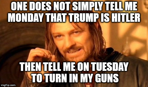 One Does Not Simply Meme | ONE DOES NOT SIMPLY TELL ME MONDAY THAT TRUMP IS HITLER; THEN TELL ME ON TUESDAY TO TURN IN MY GUNS | image tagged in memes,one does not simply | made w/ Imgflip meme maker