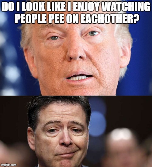 DO I LOOK LIKE I ENJOY WATCHING PEOPLE PEE ON EACHOTHER? | image tagged in comey,donald trump | made w/ Imgflip meme maker