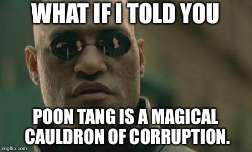 Poon Tang is a magical cauldron of corruption | WHAT IF I TOLD YOU; POON TANG IS A MAGICAL CAULDRON OF CORRUPTION. | image tagged in memes,matrix morpheus,battle of the sexes,men vs women,magic,birds and bees | made w/ Imgflip meme maker