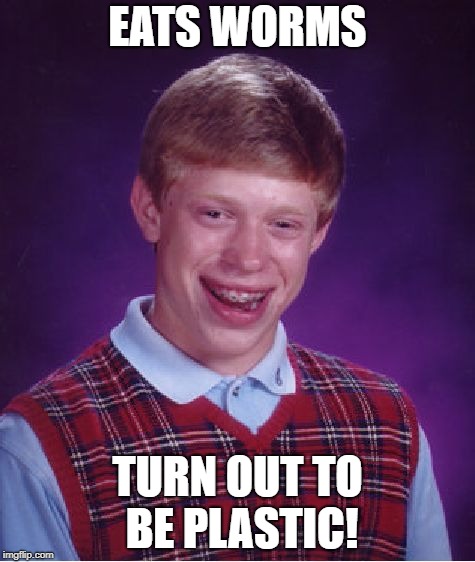 Bad Luck Brian Meme | EATS WORMS TURN OUT TO BE PLASTIC! | image tagged in memes,bad luck brian | made w/ Imgflip meme maker