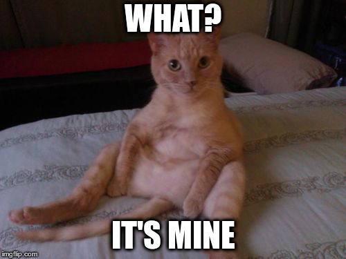 Chester The Cat Meme | WHAT? IT'S MINE | image tagged in memes,chester the cat | made w/ Imgflip meme maker