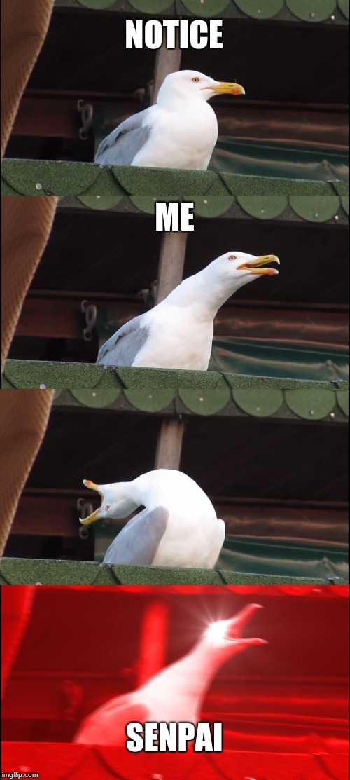 Inhaling Seagull | NOTICE; ME; SENPAI | image tagged in memes,inhaling seagull | made w/ Imgflip meme maker