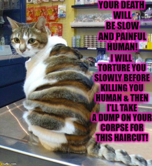 YOUR DEATH WILL BE SLOW AND PAINFUL HUMAN! I WILL TORTURE YOU SLOWLY BEFORE KILLING YOU HUMAN & THEN I'LL TAKE A DUMP ON YOUR CORPSE FOR THIS HAIRCUT! | image tagged in painful death | made w/ Imgflip meme maker