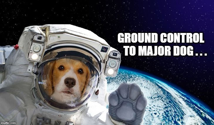May the paw be with you... | GROUND CONTROL    TO MAJOR DOG . . . | image tagged in space,dog,david bowie,aliens,funny dog,dog memes | made w/ Imgflip meme maker