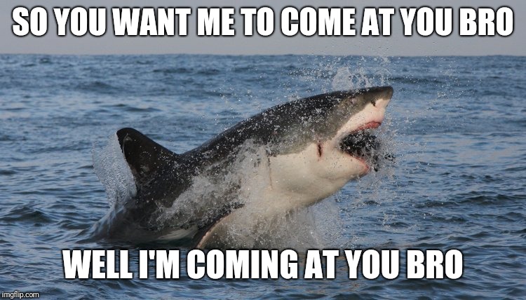 SO YOU WANT ME TO COME AT YOU BRO; WELL I'M COMING AT YOU BRO | image tagged in sharkie | made w/ Imgflip meme maker