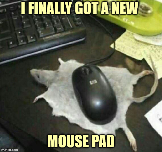 I think my cats are stalking it | I FINALLY GOT A NEW; MOUSE PAD | image tagged in mouse pad,computer,visual pun | made w/ Imgflip meme maker
