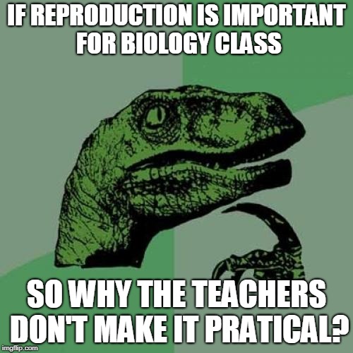 Make it PRACTICAL!! | IF REPRODUCTION IS IMPORTANT FOR BIOLOGY CLASS; SO WHY THE TEACHERS DON'T MAKE IT PRATICAL? | image tagged in memes,philosoraptor | made w/ Imgflip meme maker