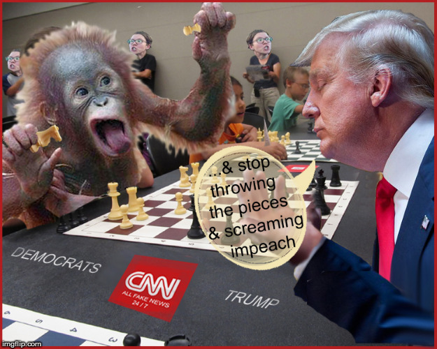 TRUMP vs The Democrats | image tagged in donald trump approves,politics lol,funny memes,democrats,liberalism is a mental disorder,current events | made w/ Imgflip meme maker