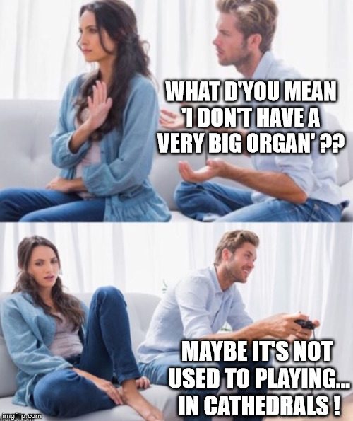 Arguing Couple 3 | WHAT D'YOU MEAN 'I DON'T HAVE A VERY BIG ORGAN' ?? MAYBE IT'S NOT USED TO PLAYING... IN CATHEDRALS ! | image tagged in arguing couple 3 | made w/ Imgflip meme maker