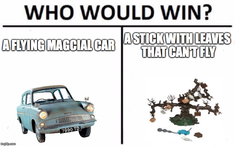Who Would Win? Meme | A FLYING MAGCIAL CAR; A STICK WITH LEAVES THAT CAN'T FLY | image tagged in memes,who would win | made w/ Imgflip meme maker
