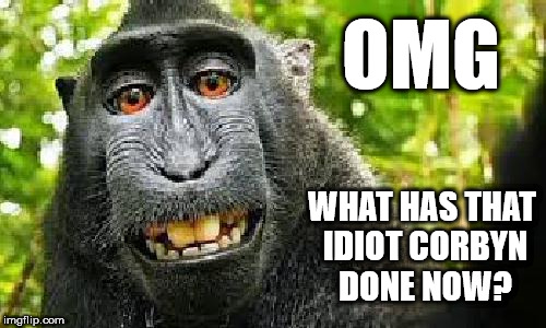 OMG - What has the idiot Corbyn done now? | OMG; WHAT HAS THAT IDIOT CORBYN DONE NOW? | image tagged in corbny eww,communist socialist,party of haters,momentum,mcdonnell abbott,funny | made w/ Imgflip meme maker